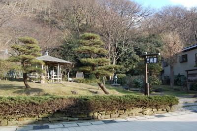 芭蕉園