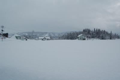 川口運動公園（2008年1月）