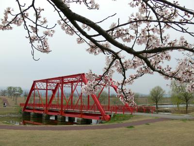 越路河川公園