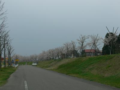 越路河川公園