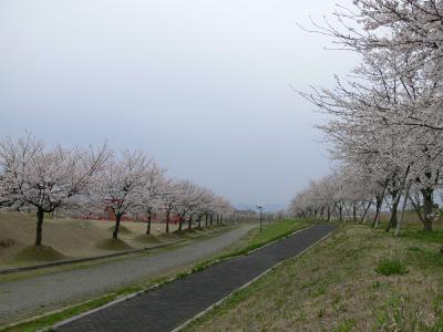 越路河川公園