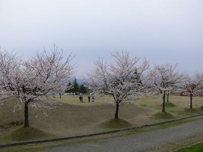 越路河川公園