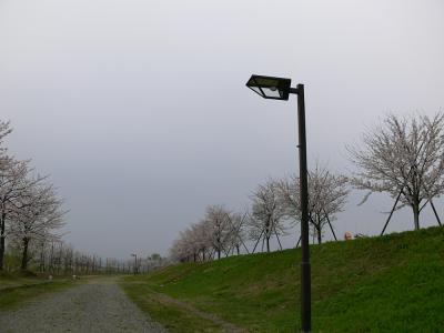 越路河川公園