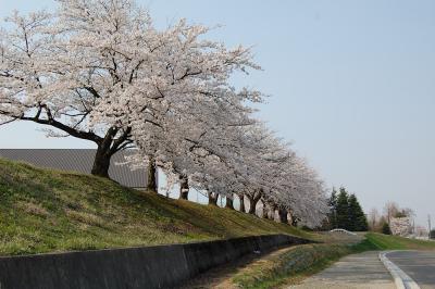 越路体育館 1