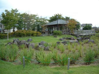 三島中央公園 1