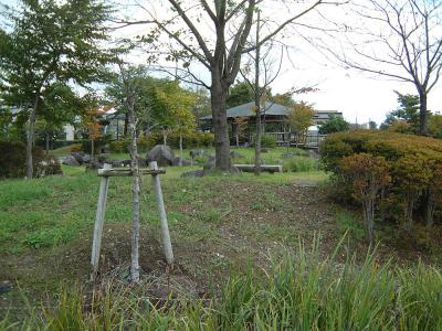 三島中央公園 1