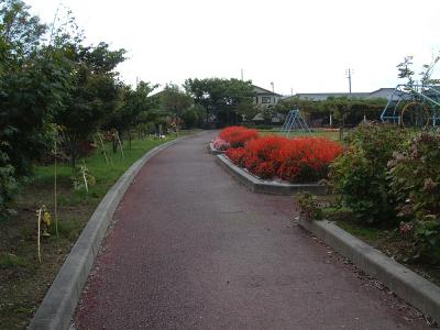 三島中央公園 2