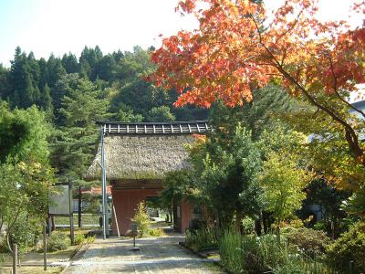 寛益寺