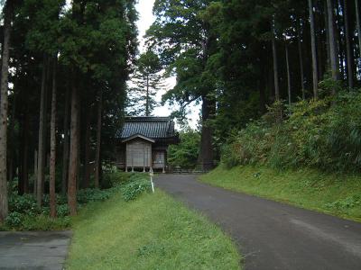 蓮花寺の大杉