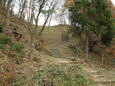 見附市 市民の森 1