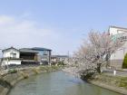 東神田方向（桜並木の終端）