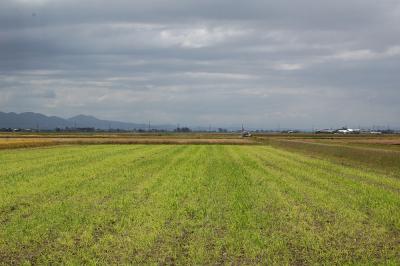 田園風景 中条北