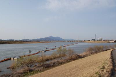 信濃川 中条新田