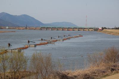 信濃川 中条新田