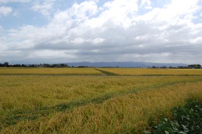 田園風景 品之木