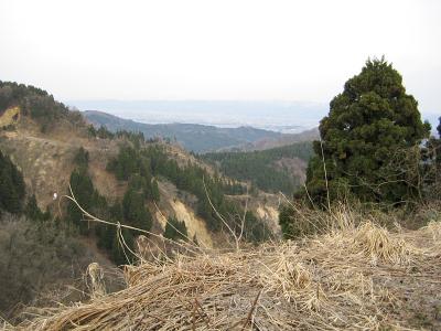 西山林道