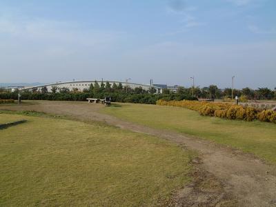 県立近代美術館 - 屋上庭園 1