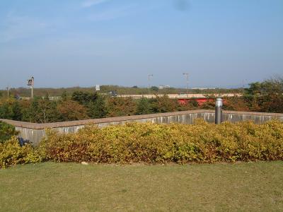 県立近代美術館 - 屋上庭園 1