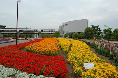 千秋が原ふるさとの森 花の広場 1