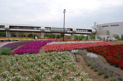 千秋が原ふるさとの森 花の広場 1