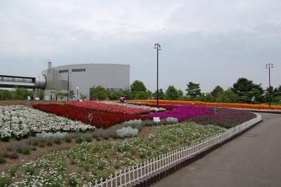 千秋が原ふるさとの森 花の広場 1