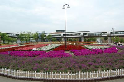 千秋が原ふるさとの森 花の広場 1