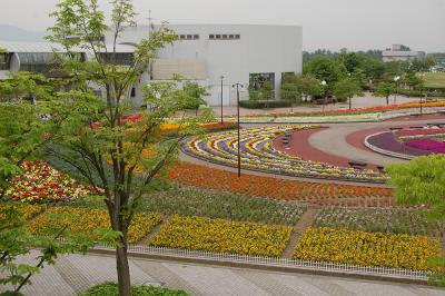 千秋が原ふるさとの森 花の広場 2