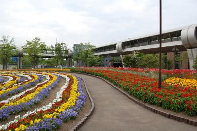 千秋が原ふるさとの森 花の広場 2