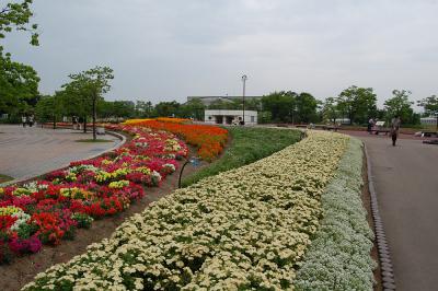 千秋が原ふるさとの森 花の広場 2