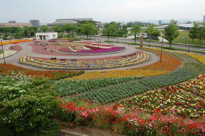 千秋が原ふるさとの森 花の広場 2