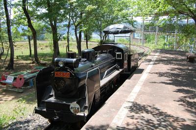 おぐに森林公園 なかよしランド 1