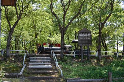 おぐに森林公園 なかよしランド 2