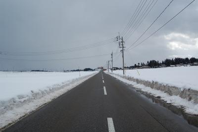 坪野 - 県道411号線