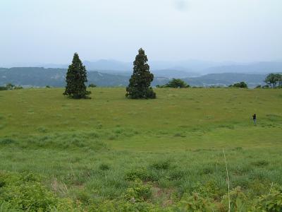 山本山高原牧場（2006）