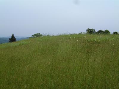 山本山高原牧場（2006）