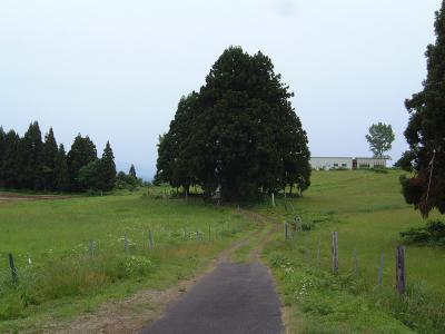 山本山高原牧場（2006）