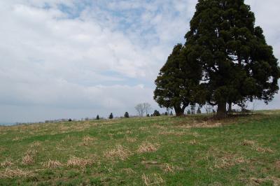 山本山高原牧場（2008）2