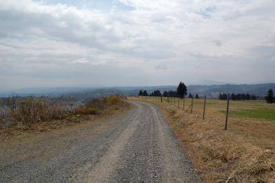 山本山高原牧場（2008）2