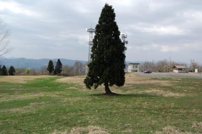 山本山高原牧場（2008）2