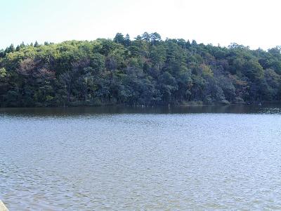 平野新の池