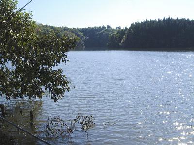 平野新の池