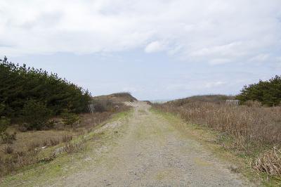 野積 中浜 - 海岸