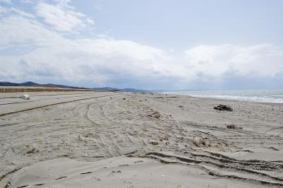 野積海水浴場