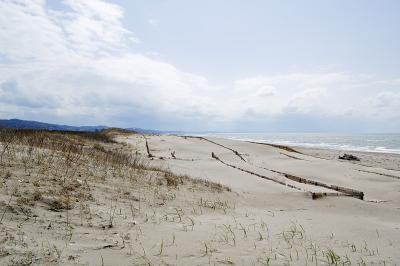 野積海水浴場