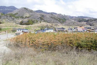 野積海水浴場