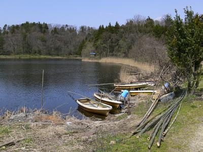 宮ケ崎堤