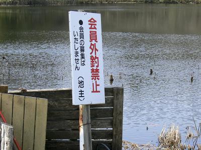 宮ケ崎堤