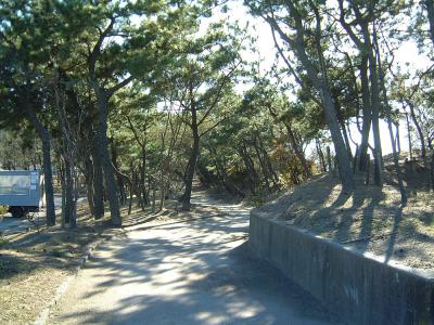 寺泊中央海浜公園 1