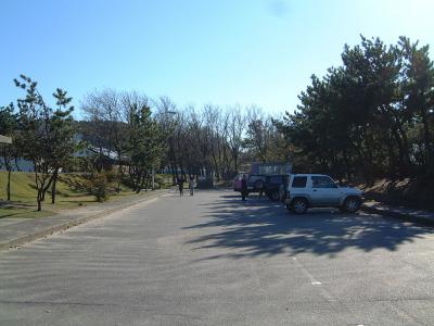 寺泊中央海浜公園 1