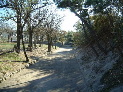 寺泊中央海浜公園 2